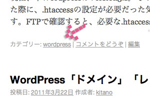 Wordpress カテゴリー設定